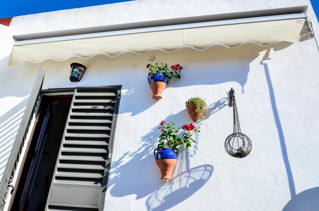 Alohamundi Campana Apartment Seville Exterior photo